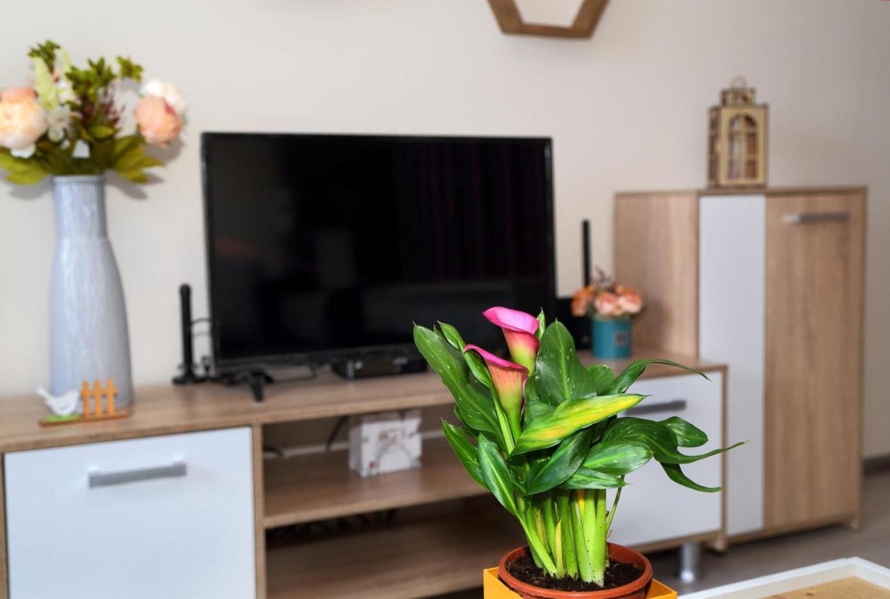 Apartment Colibri 벨리코 터르노보 외부 사진